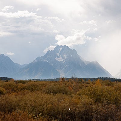 Yellowstone