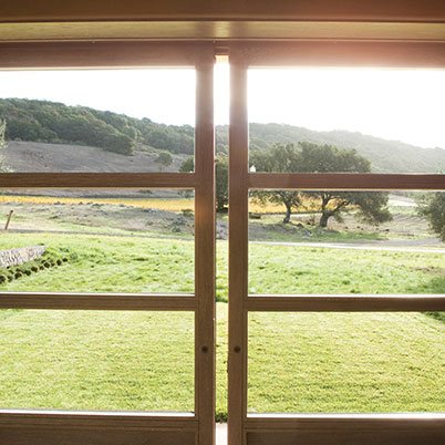 Kenzo Estate - Professional Project Showcase